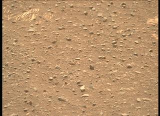 View image taken on Mars, Mars Perseverance Sol 442: Right Mastcam-Z Camera