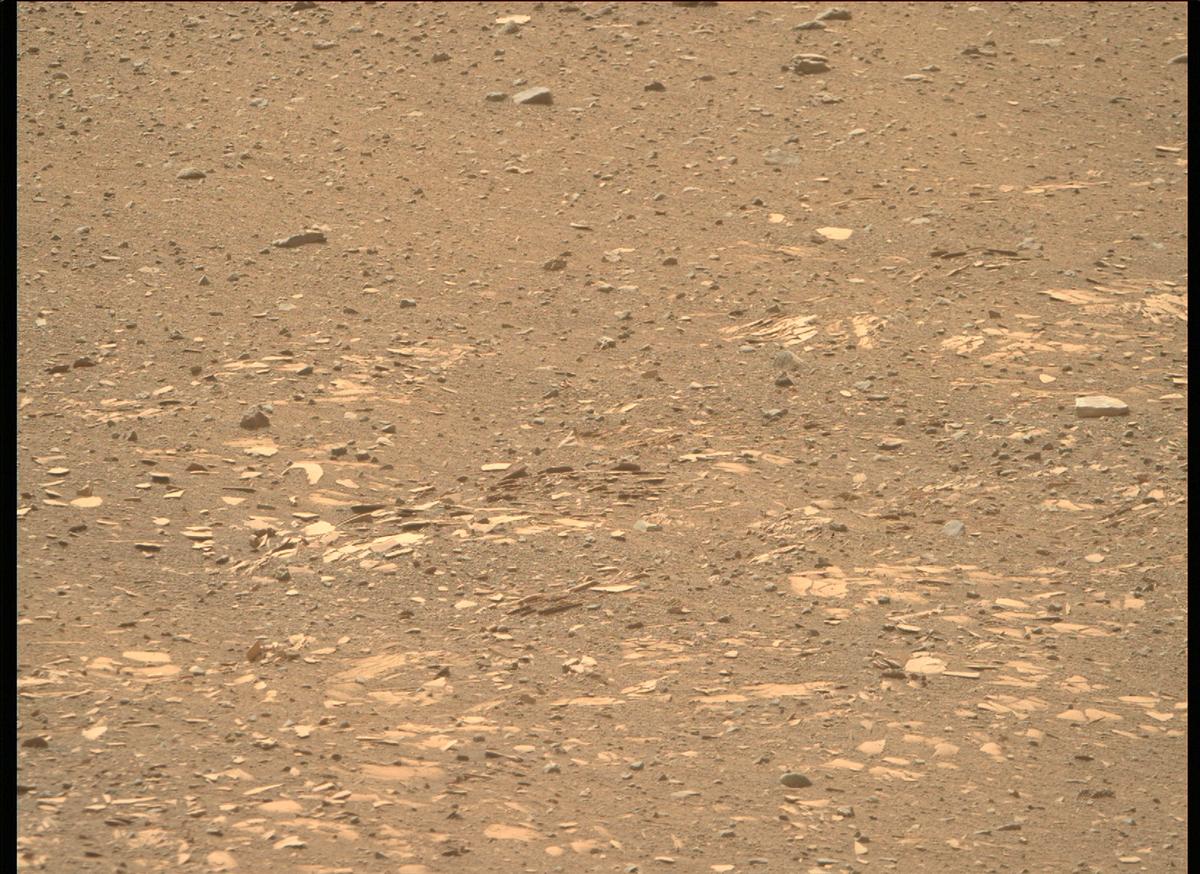 This image was taken by MCZ_RIGHT onboard NASA's Mars rover Perseverance on Sol 442