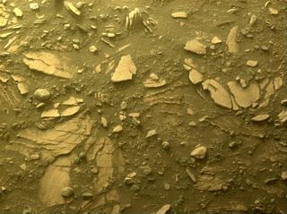 View image taken on Mars, Mars Perseverance Sol 443: Front Left Hazard Avoidance Camera (Hazcam)