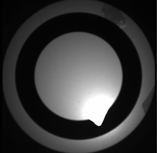 View image taken on Mars, Mars Perseverance Sol 443: SkyCam Camera 