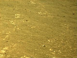 View image taken on Mars, Mars Perseverance Sol 443: Left Navigation Camera (Navcam)