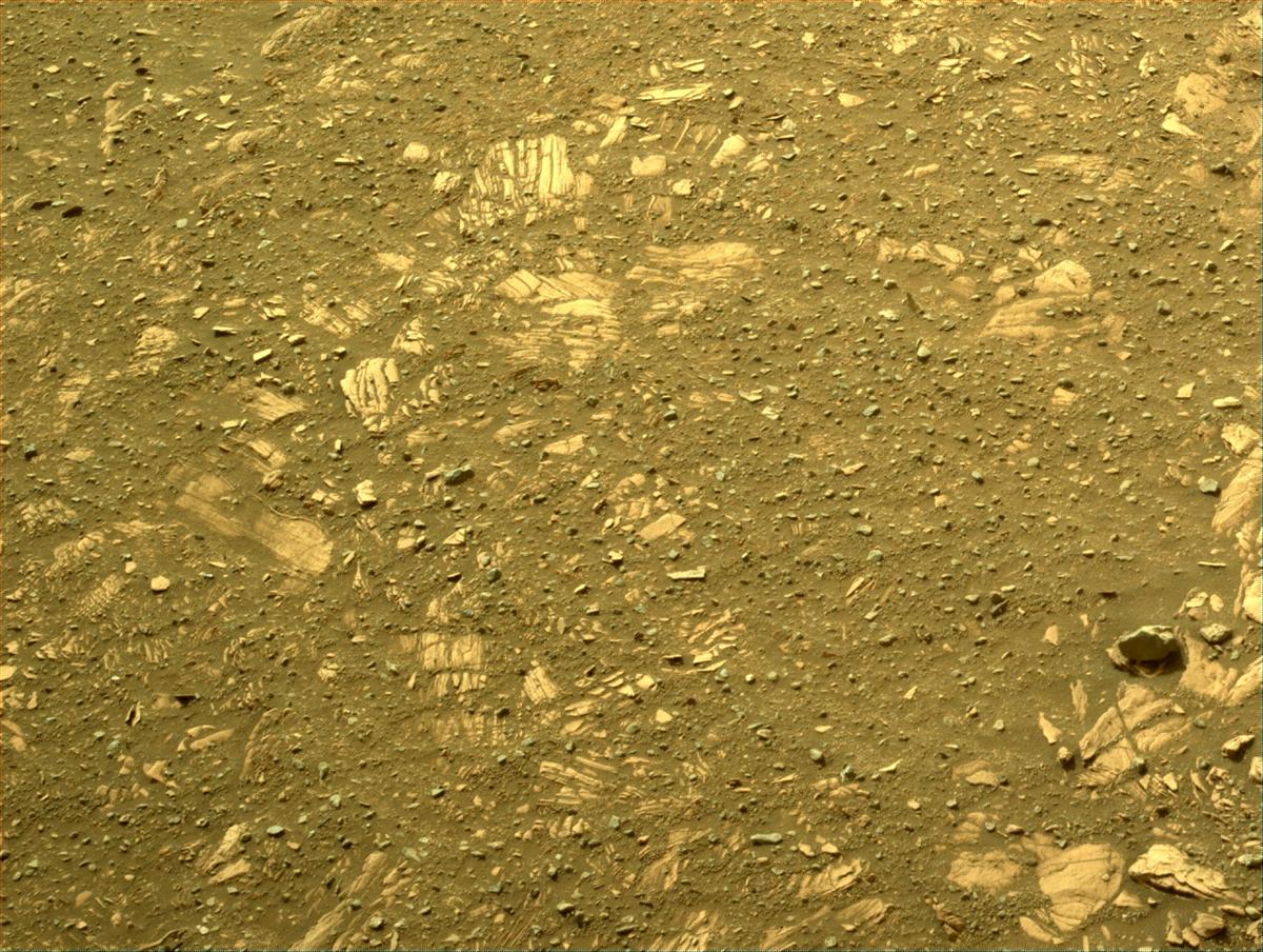This image was taken by NAVCAM_RIGHT onboard NASA's Mars rover Perseverance on Sol 443