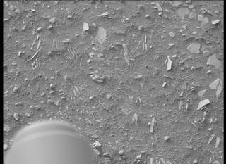 View image taken on Mars, Mars Perseverance Sol 443: Left Mastcam-Z Camera