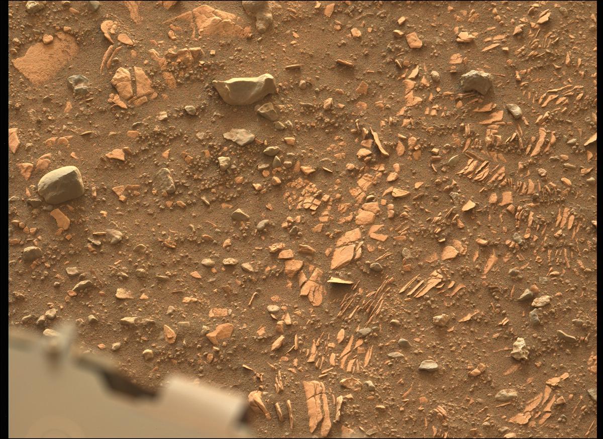 This image was taken by MCZ_LEFT onboard NASA's Mars rover Perseverance on Sol 443