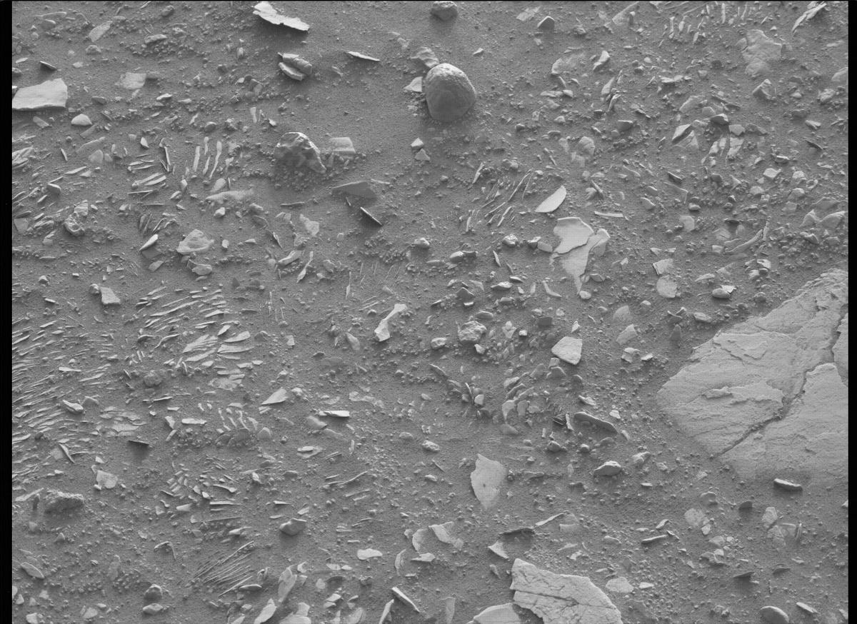 This image was taken by MCZ_LEFT onboard NASA's Mars rover Perseverance on Sol 443