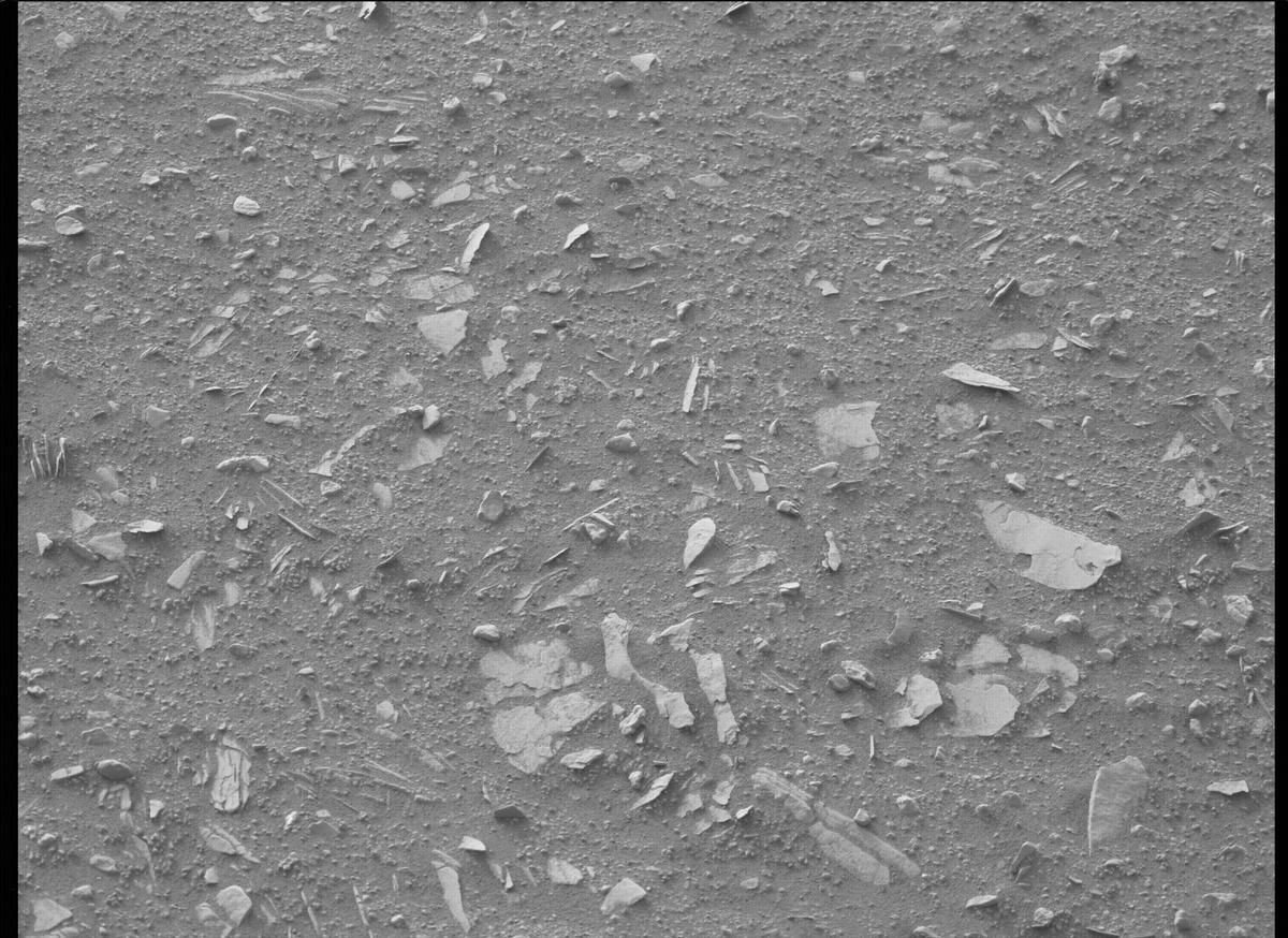 This image was taken by MCZ_LEFT onboard NASA's Mars rover Perseverance on Sol 443