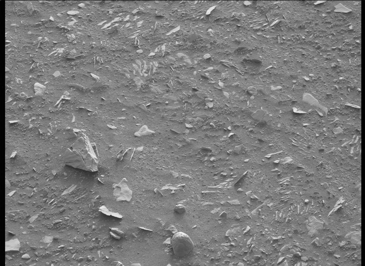 This image was taken by MCZ_LEFT onboard NASA's Mars rover Perseverance on Sol 443