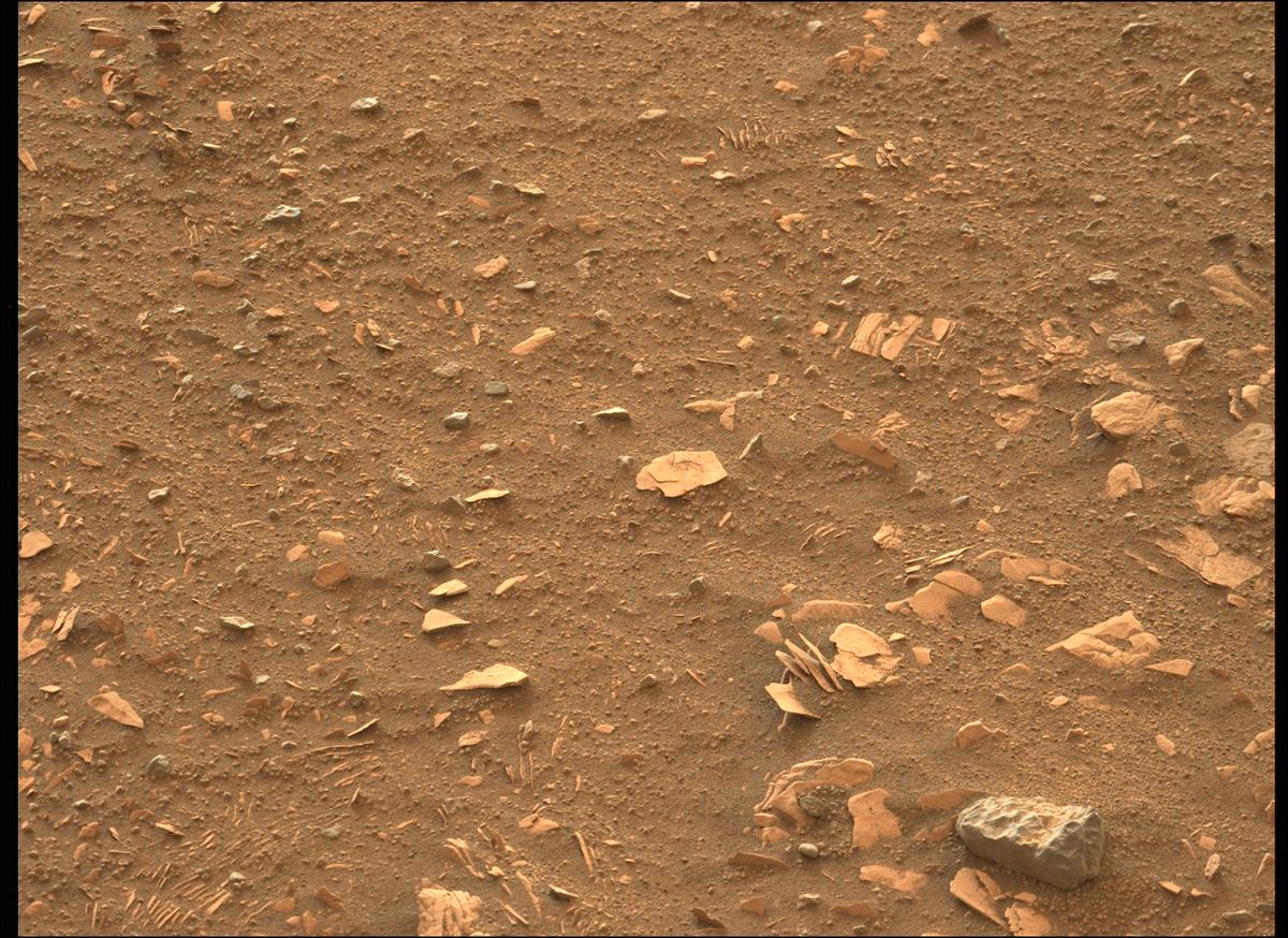 This image was taken by MCZ_LEFT onboard NASA's Mars rover Perseverance on Sol 443