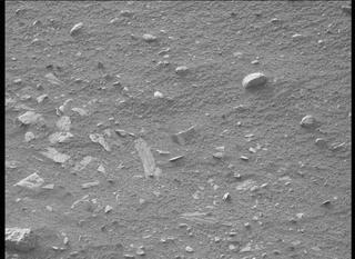 View image taken on Mars, Mars Perseverance Sol 443: Left Mastcam-Z Camera