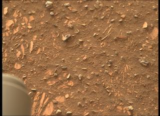 View image taken on Mars, Mars Perseverance Sol 443: Right Mastcam-Z Camera