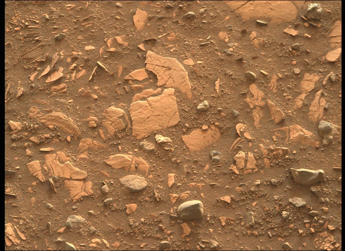 This image was taken by MCZ_RIGHT onboard NASA's Mars rover Perseverance on Sol 443