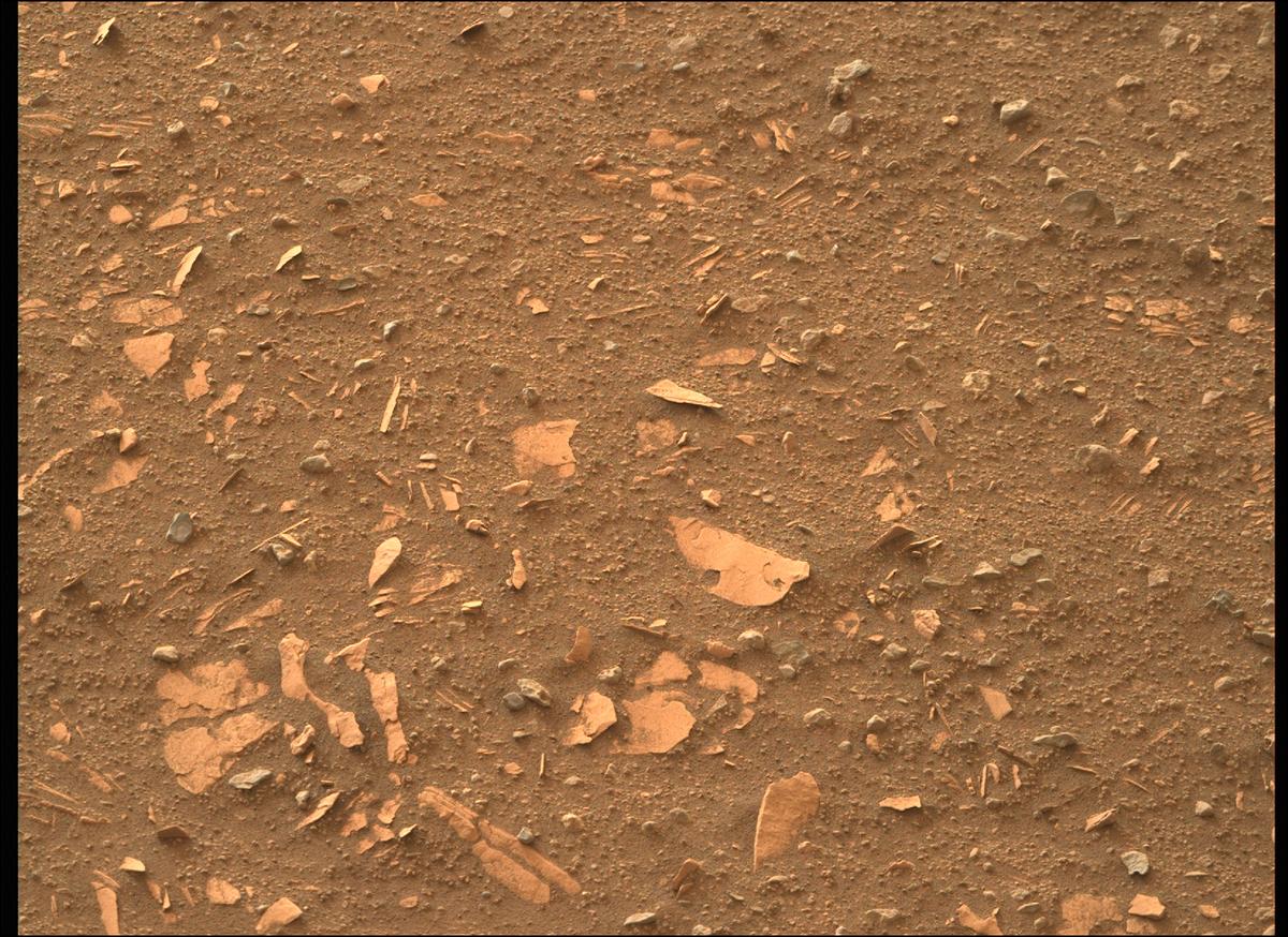 This image was taken by MCZ_RIGHT onboard NASA's Mars rover Perseverance on Sol 443