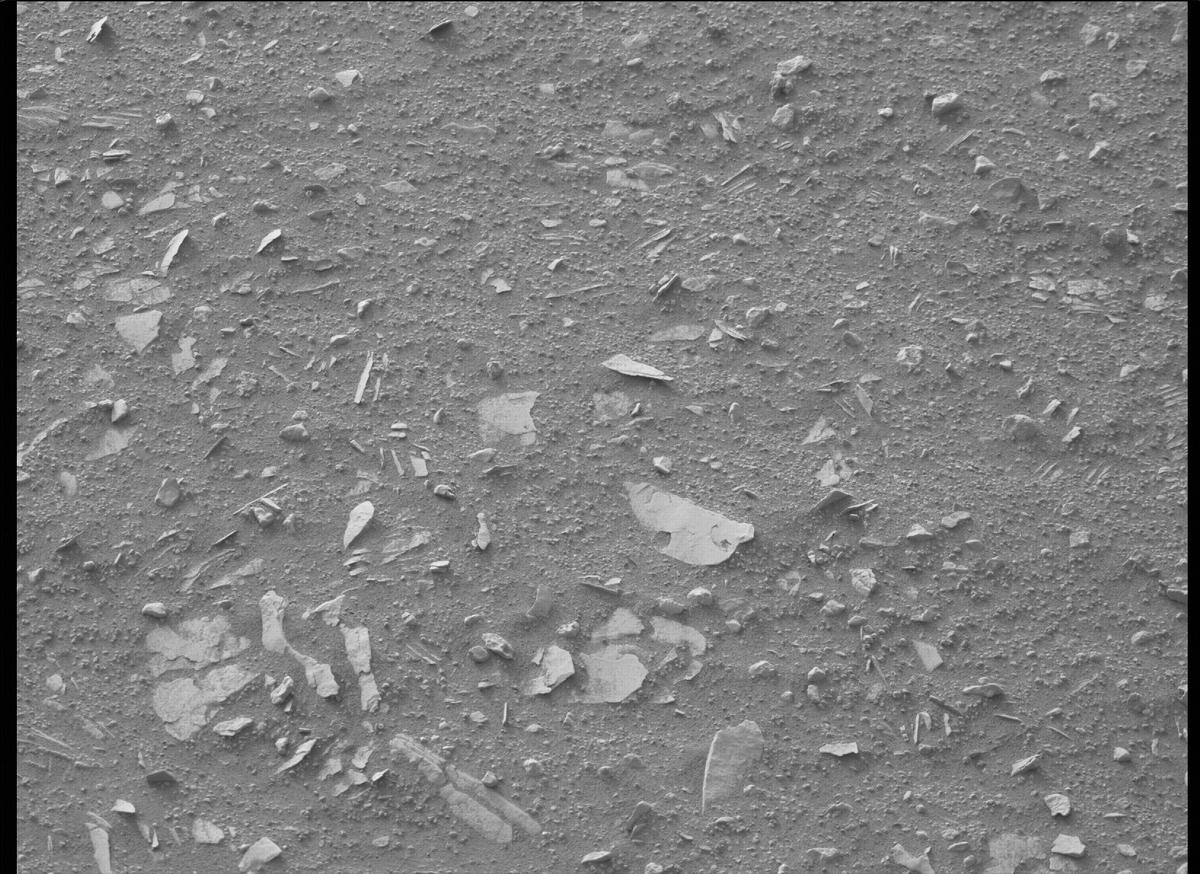 This image was taken by MCZ_RIGHT onboard NASA's Mars rover Perseverance on Sol 443