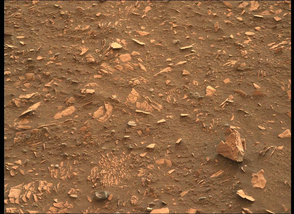 This image was taken by MCZ_RIGHT onboard NASA's Mars rover Perseverance on Sol 443