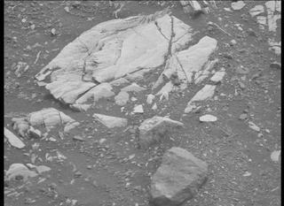 View image taken on Mars, Mars Perseverance Sol 443: Right Mastcam-Z Camera
