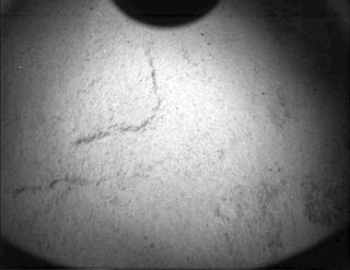 View image taken on Mars, Mars Perseverance Sol 445: PIXL Camera 