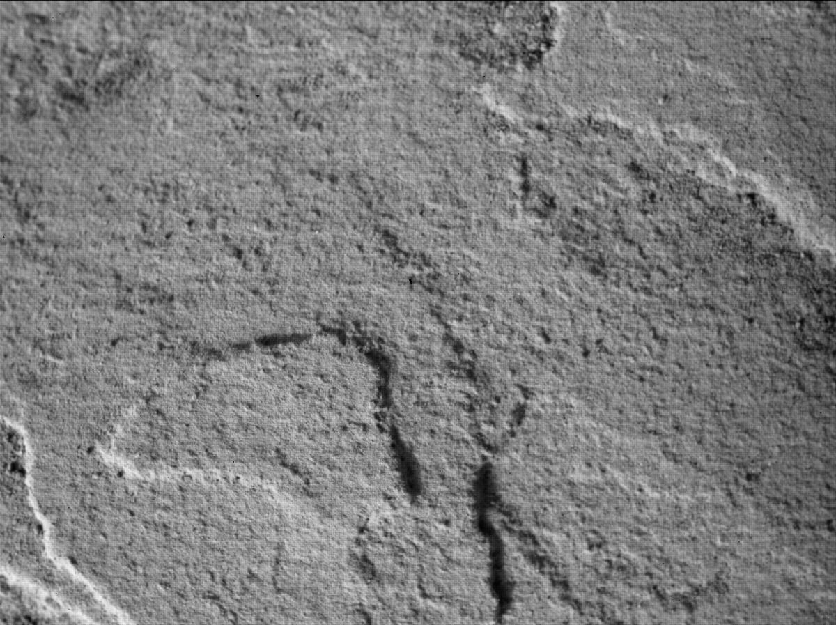 This image was taken by SHERLOC_WATSON onboard NASA's Mars rover Perseverance on Sol 445