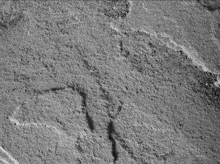 View image taken on Mars, Mars Perseverance Sol 445: WATSON Camera 