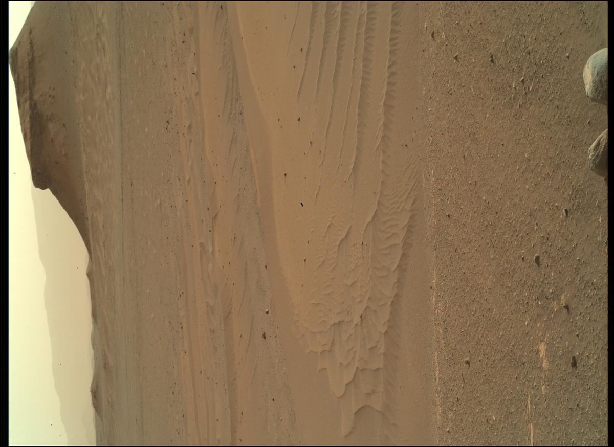 This image was taken by SHERLOC_WATSON onboard NASA's Mars rover Perseverance on Sol 445