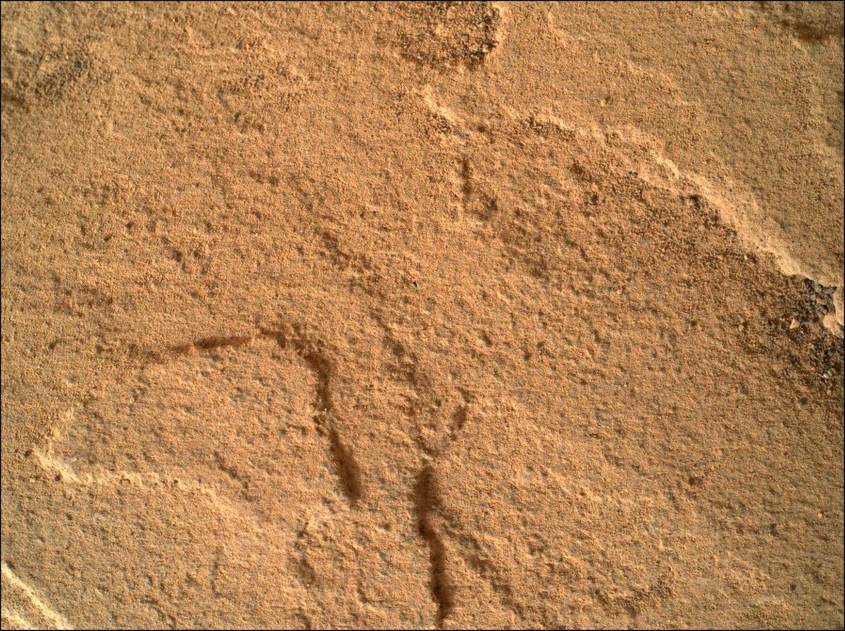 This image was taken by SHERLOC_WATSON onboard NASA's Mars rover Perseverance on Sol 445