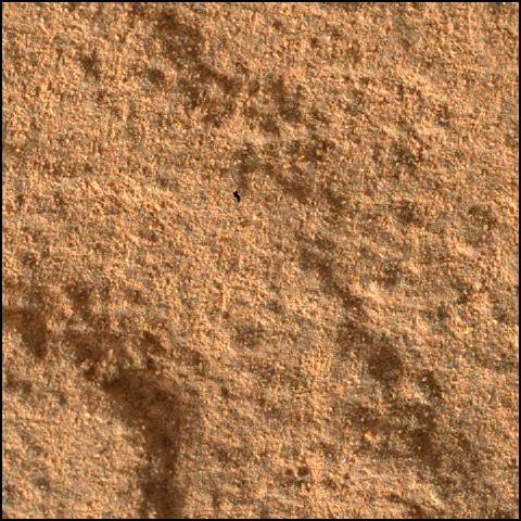 This image was taken by SHERLOC_WATSON onboard NASA's Mars rover Perseverance on Sol 445