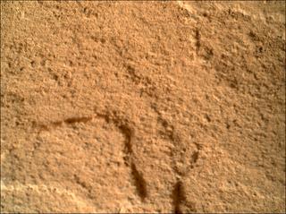 View image taken on Mars, Mars Perseverance Sol 445: WATSON Camera 