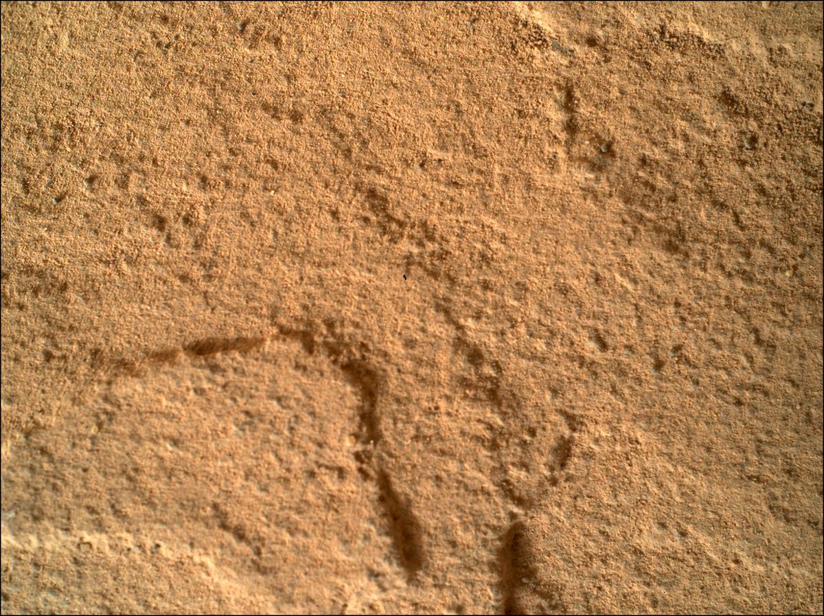 This image was taken by SHERLOC_WATSON onboard NASA's Mars rover Perseverance on Sol 445