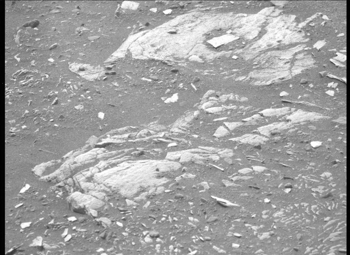 This image was taken by MCZ_LEFT onboard NASA's Mars rover Perseverance on Sol 445
