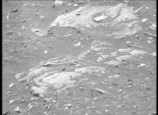 View image taken on Mars, Mars Perseverance Sol 445: Left Mastcam-Z Camera