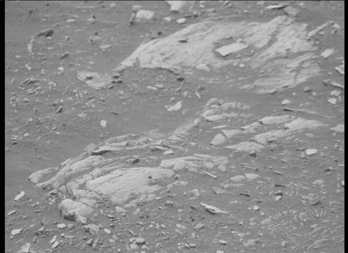 This image was taken by MCZ_RIGHT onboard NASA's Mars rover Perseverance on Sol 445