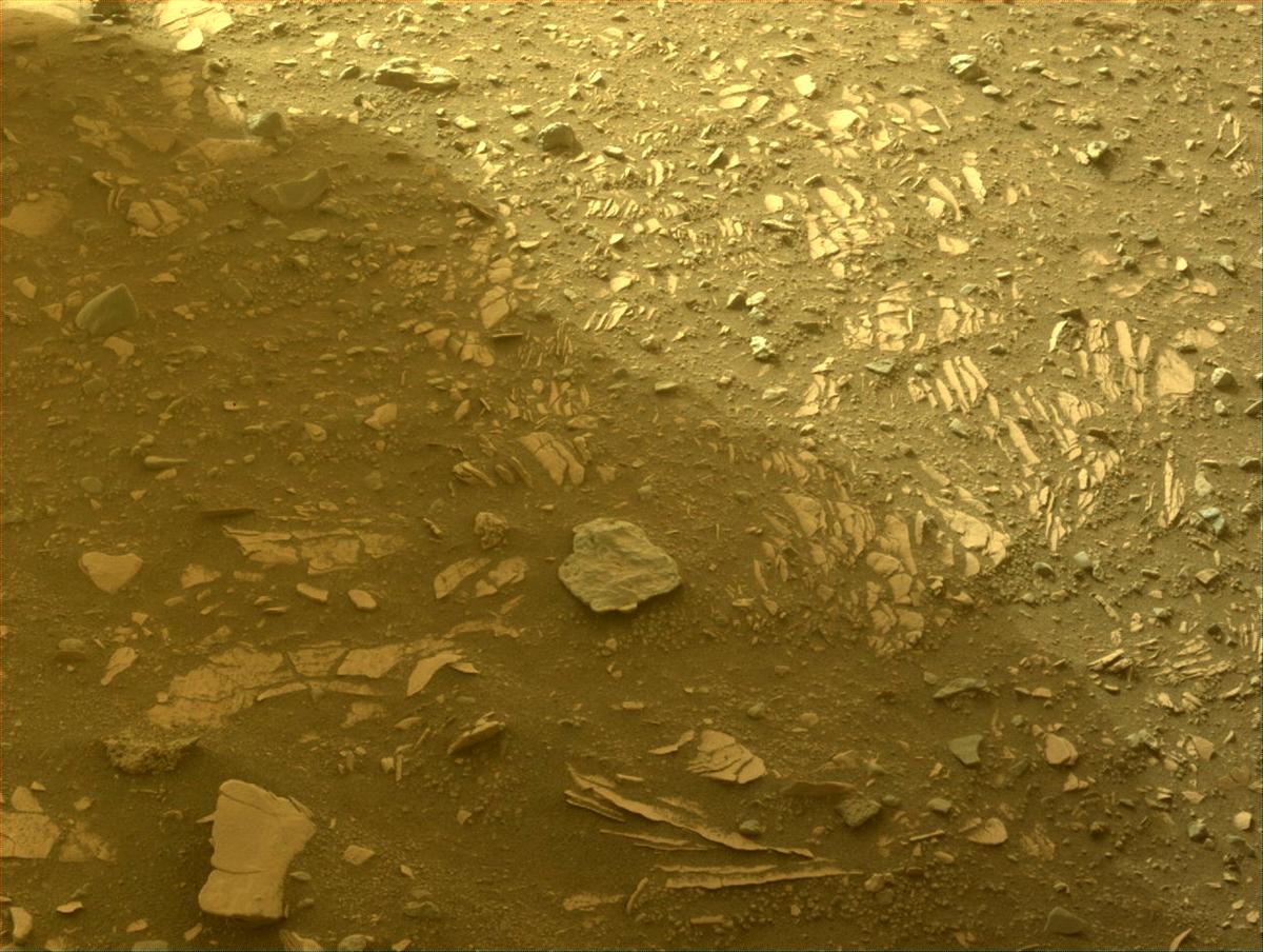 This image was taken by FRONT_HAZCAM_LEFT_A onboard NASA's Mars rover Perseverance on Sol 446