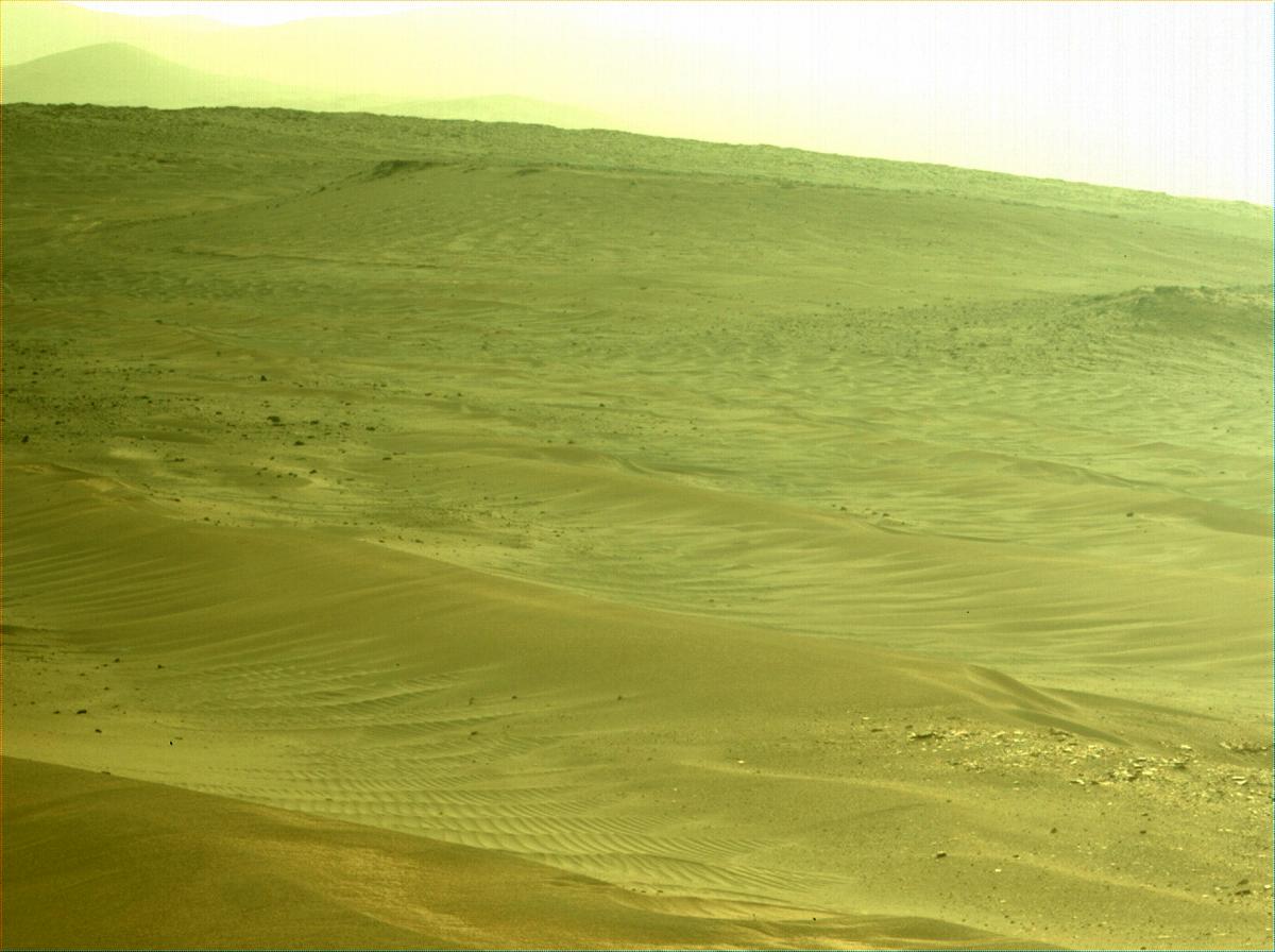 This image was taken by NAVCAM_RIGHT onboard NASA's Mars rover Perseverance on Sol 446