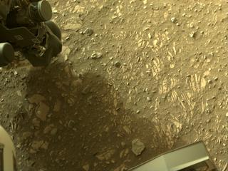 View image taken on Mars, Mars Perseverance Sol 446: Right Navigation Camera (Navcam)