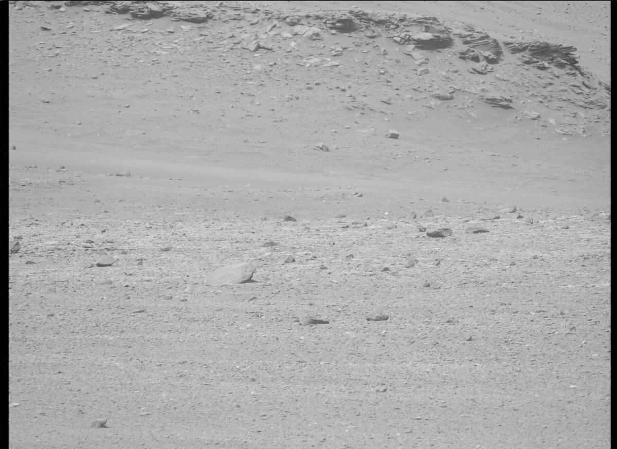 This image was taken by MCZ_LEFT onboard NASA's Mars rover Perseverance on Sol 446
