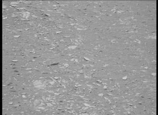 View image taken on Mars, Mars Perseverance Sol 446: Left Mastcam-Z Camera
