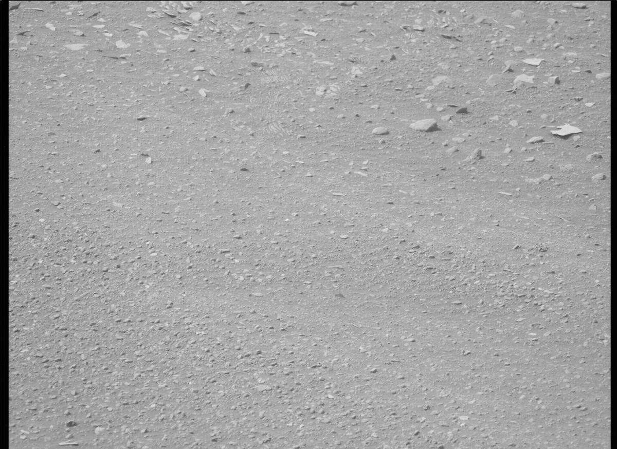 This image was taken by MCZ_LEFT onboard NASA's Mars rover Perseverance on Sol 446