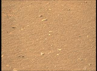 View image taken on Mars, Mars Perseverance Sol 446: Left Mastcam-Z Camera