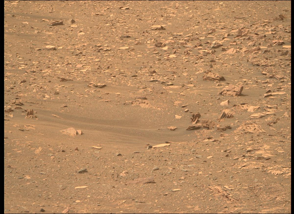 This image was taken by MCZ_RIGHT onboard NASA's Mars rover Perseverance on Sol 446