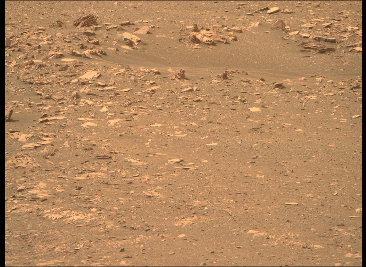 This image was taken by MCZ_RIGHT onboard NASA's Mars rover Perseverance on Sol 446