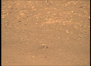 View image taken on Mars, Mars Perseverance Sol 446: Right Mastcam-Z Camera