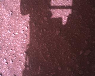 View image taken on Mars, Mars Perseverance Sol 448: Rover Down-Look Camera