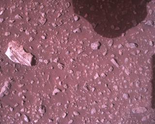 View image taken on Mars, Mars Perseverance Sol 448: Rover Down-Look Camera