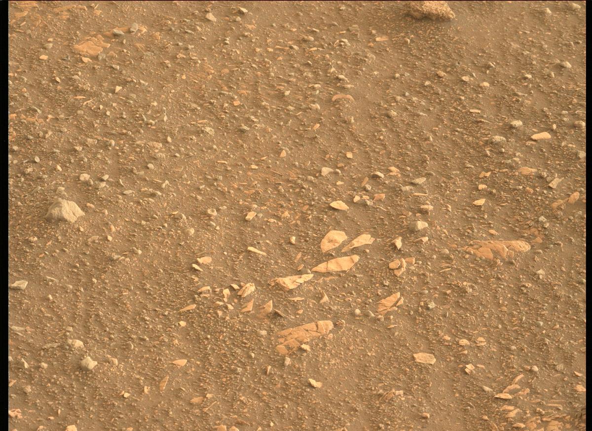 This image was taken by MCZ_LEFT onboard NASA's Mars rover Perseverance on Sol 448