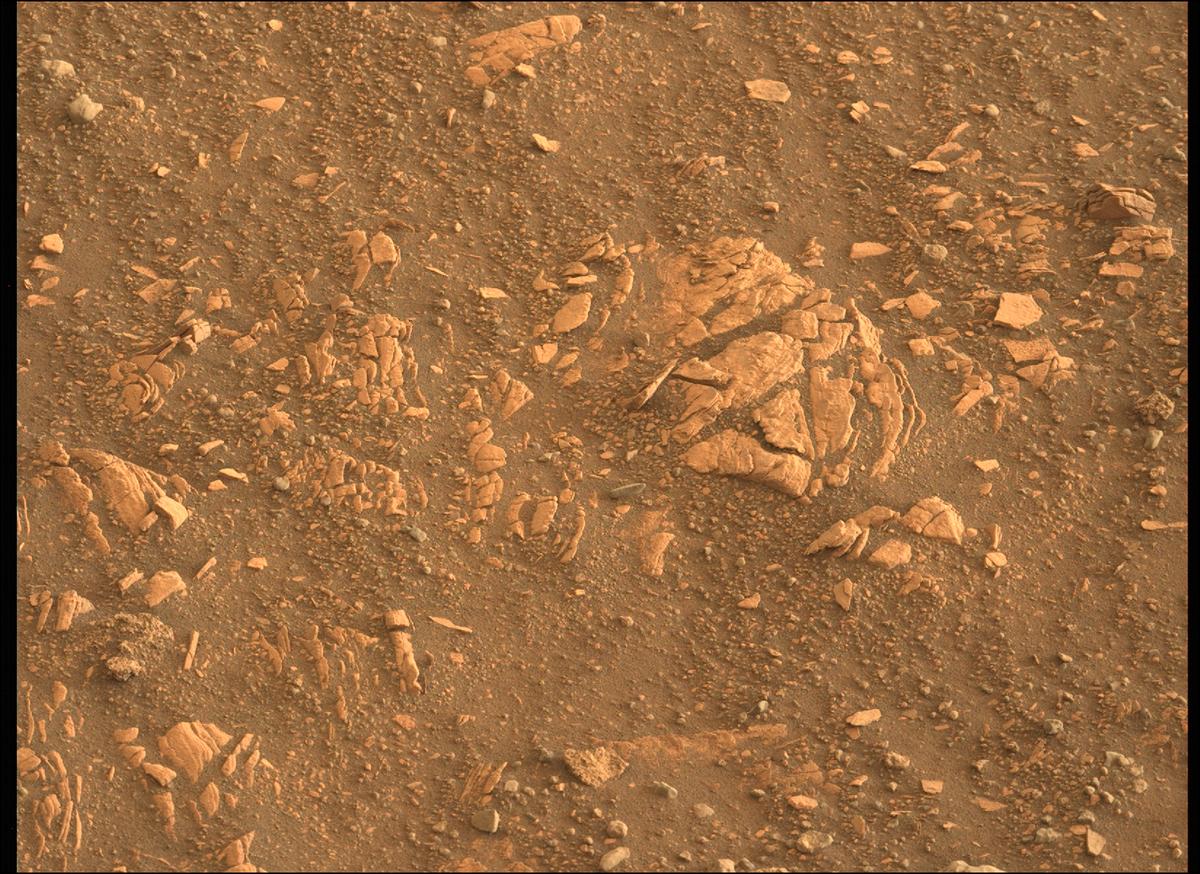 This image was taken by MCZ_LEFT onboard NASA's Mars rover Perseverance on Sol 448