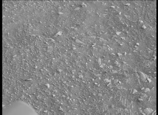 View image taken on Mars, Mars Perseverance Sol 448: Left Mastcam-Z Camera