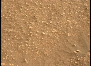 View image taken on Mars, Mars Perseverance Sol 448: Left Mastcam-Z Camera