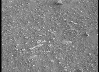 View image taken on Mars, Mars Perseverance Sol 448: Right Mastcam-Z Camera