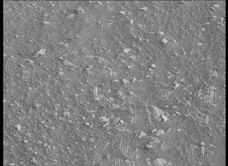 View image taken on Mars, Mars Perseverance Sol 448: Right Mastcam-Z Camera