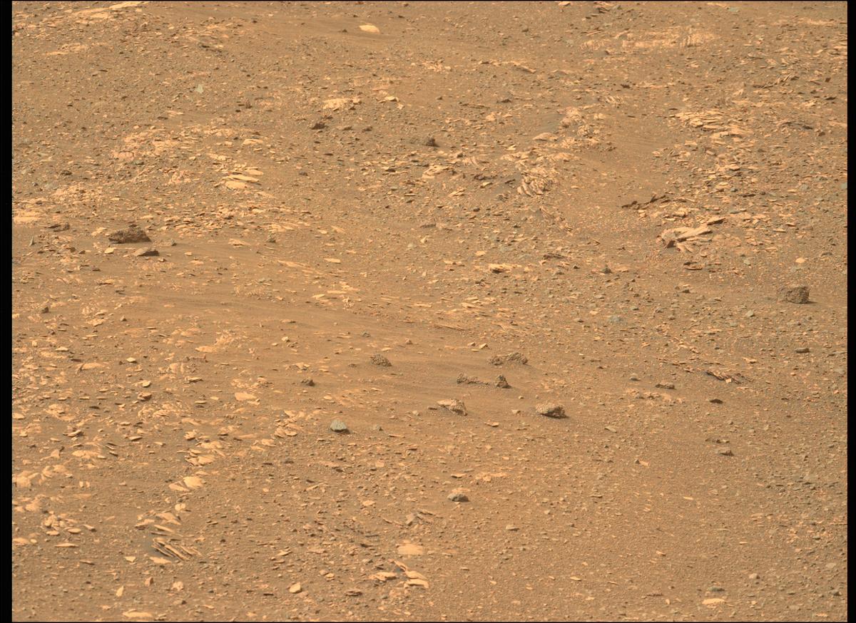 This image was taken by MCZ_LEFT onboard NASA's Mars rover Perseverance on Sol 449