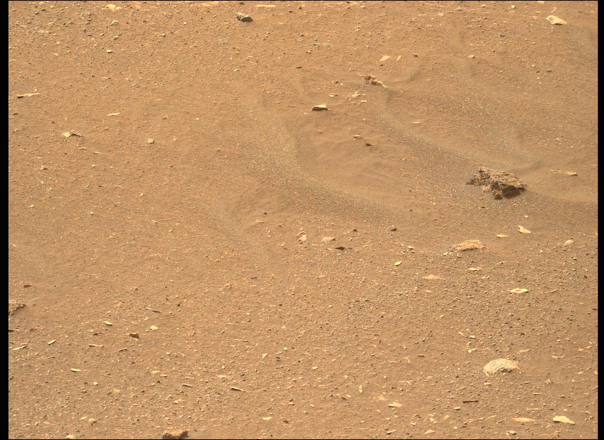 This image was taken by MCZ_LEFT onboard NASA's Mars rover Perseverance on Sol 449